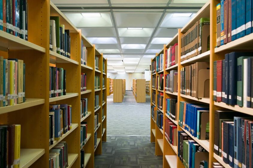 Una biblioteca es visible con estantes que contienen libros.