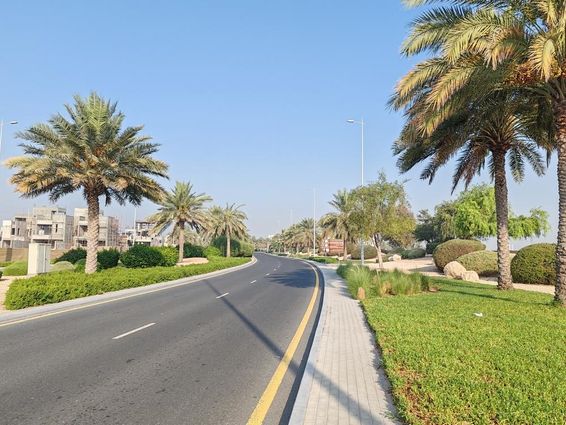 迪拜的道路，路旁有棕榈树和绿色草地。