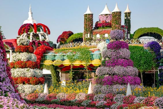 Dubai Miracle Garden apresenta castelos de conto de fadas e mais de 45 milhões de flores.