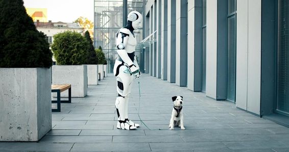 Mesterséges intelligenciával felturbózott robot sétálni viszi a kutyát reggel. 
