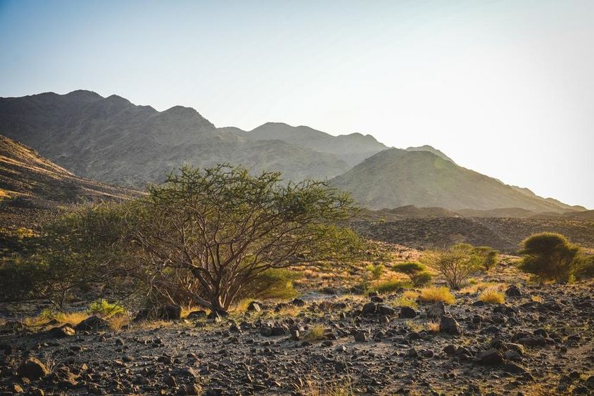 The rugged terrain of Wadi Shawka in Ras Al Khaimah with rocky trails.