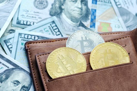 Golden bitcoin with a wallet, below dollar bills.