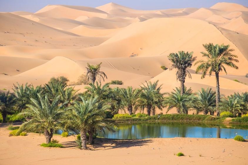 Al Ain, Abu Dhabi, Egyesült Arab Emírségek.