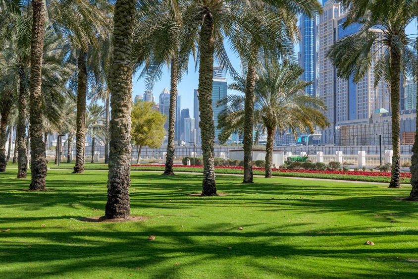 Zöld oázis Dubai szívében.