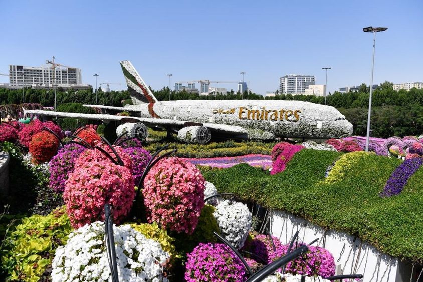 Dubai Miracle Garden during the day.