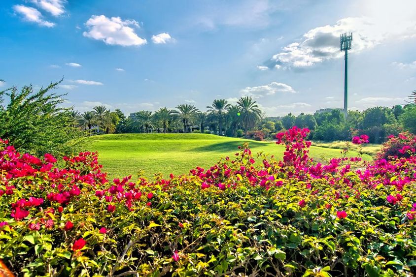 Gyönyörű reggel virággal és golfpályával Dubaiban.