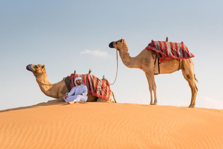 Nemzeti Kandúra ruhás arab férfi két tevével a sivatagban.