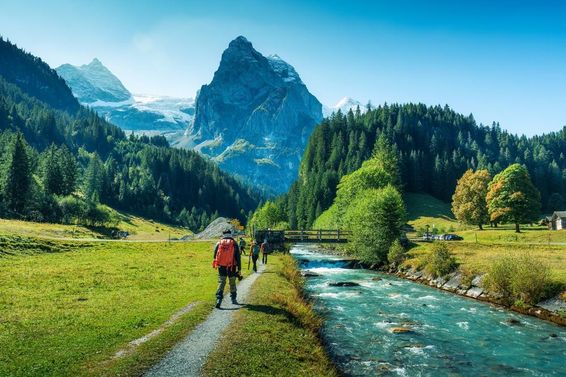 Turisták csoportja sétál a folyó mentén erdőben Bern kantonban, Svájcban.
