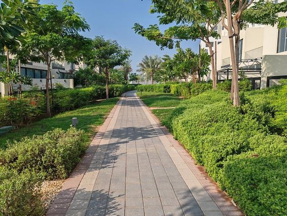 Dubai Zöld és buja tájrendezés szőnyegfűvel és fákkal.