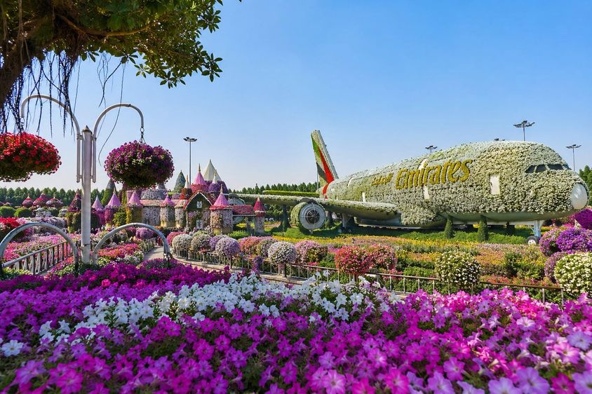 Flower-covered airplane dream